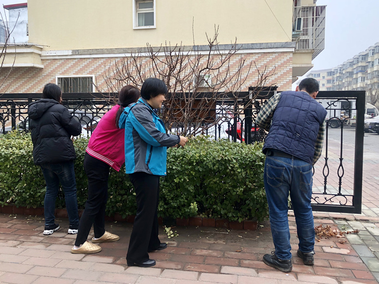 �ڲ��������רҵЧ��,����Ϊ��