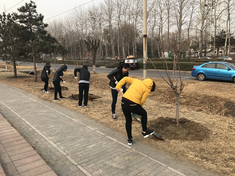 �ڲ��������רҵЧ��,����Ϊ��