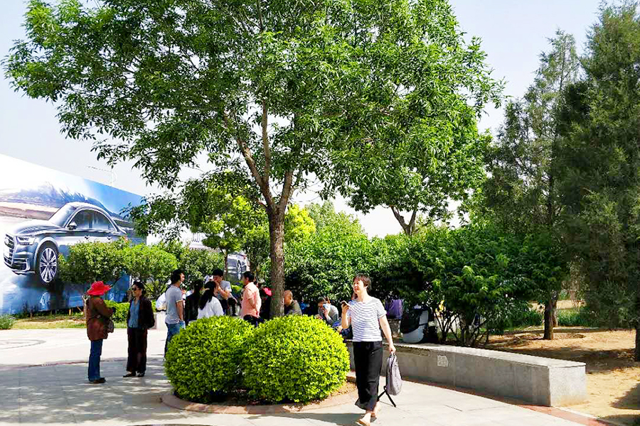 �ڲ��������רҵЧ��,����Ϊ��