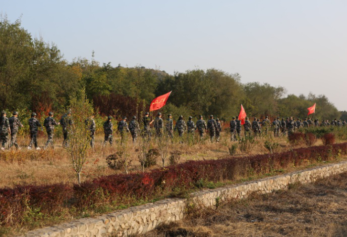 �ڲ��������רҵЧ��,����Ϊ��