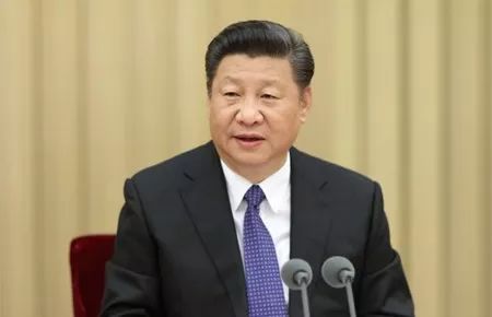 �ڲ��������רҵЧ��,����Ϊ��