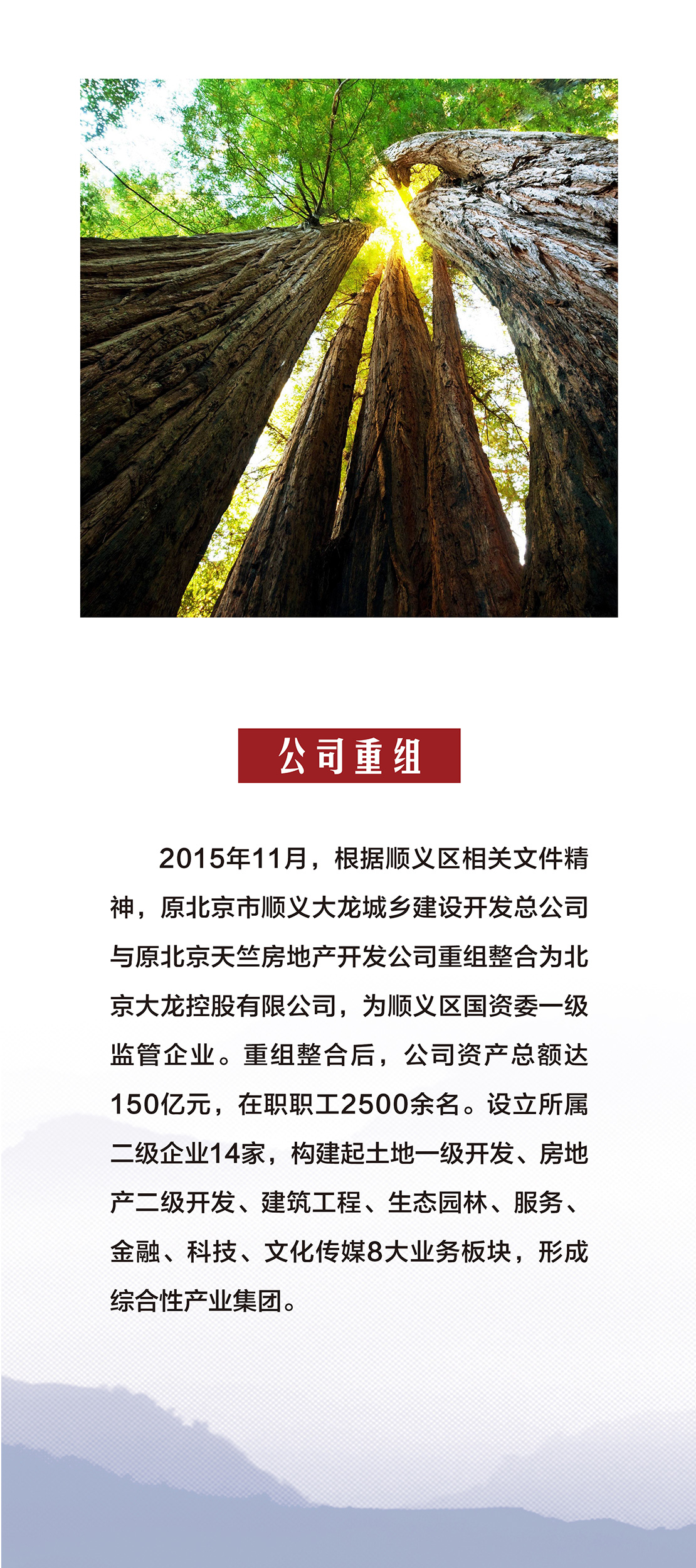 �ڲ��������רҵЧ��,����Ϊ��