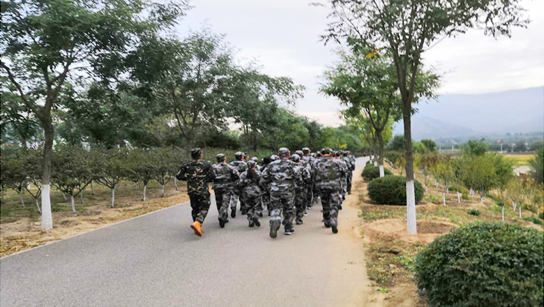 �ڲ��������רҵЧ��,����Ϊ��