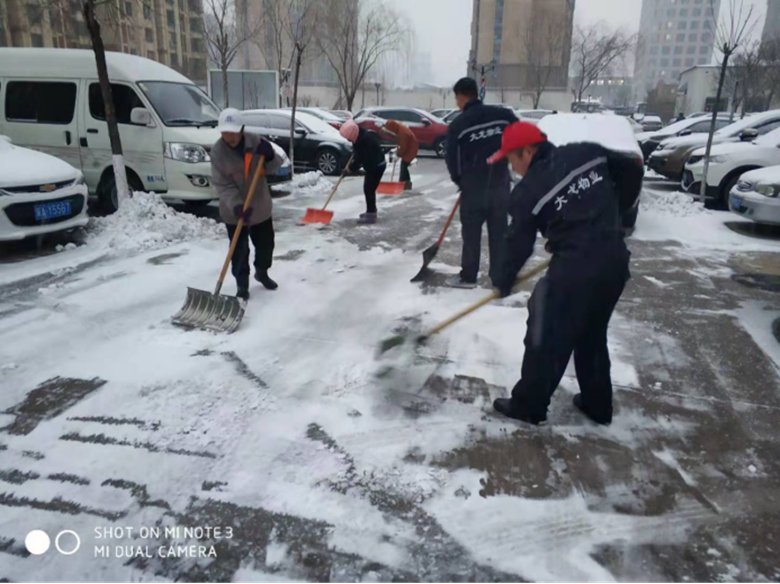 �ڲ��������רҵЧ��,����Ϊ��