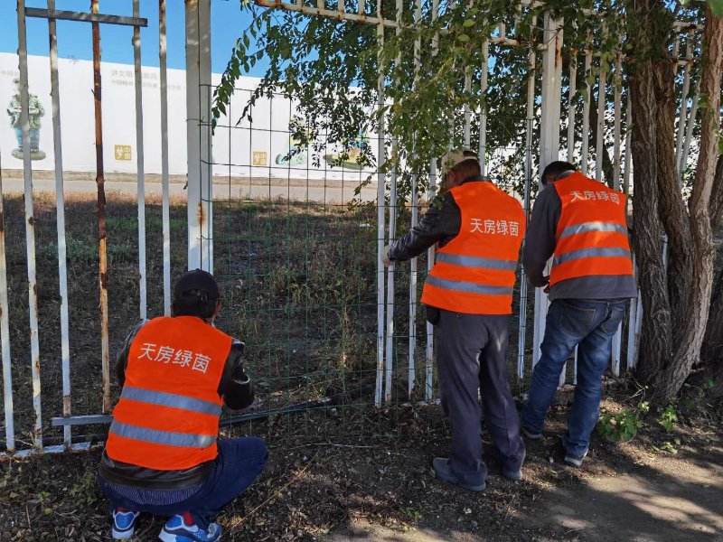 �ڲ��������רҵЧ��,����Ϊ��