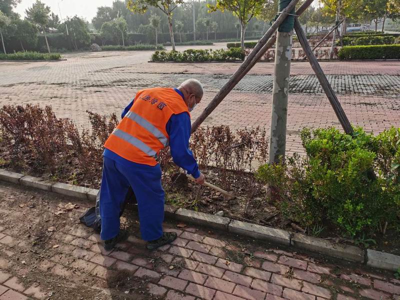 �ڲ��������רҵЧ��,����Ϊ��