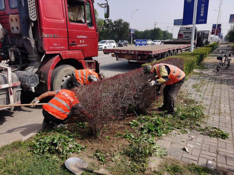 �ڲ��������רҵЧ��,����Ϊ��