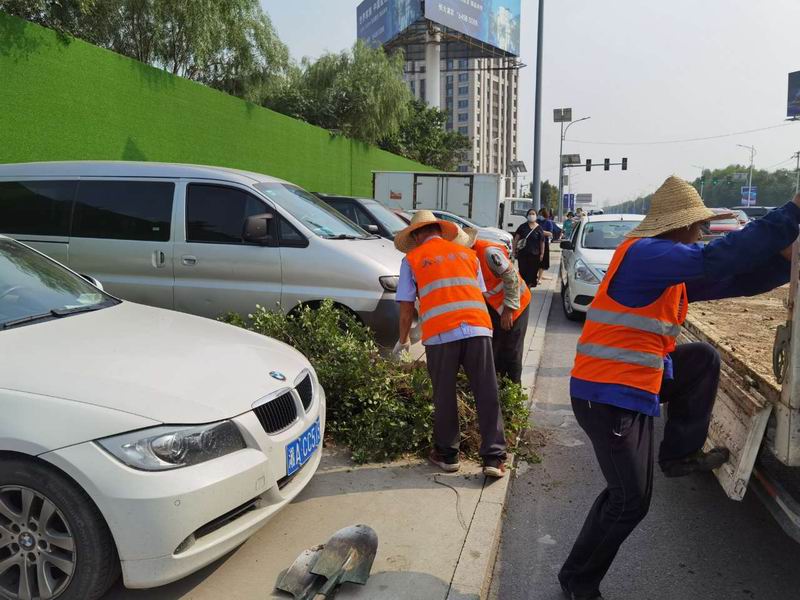 �ڲ��������רҵЧ��,����Ϊ��