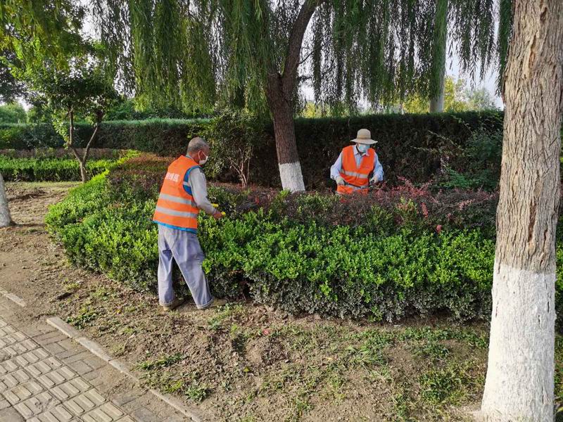 �ڲ��������רҵЧ��,����Ϊ��