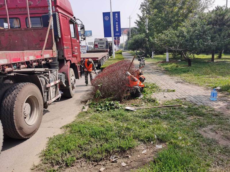 �ڲ��������רҵЧ��,����Ϊ��