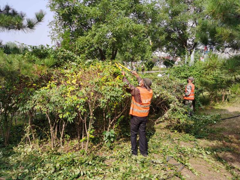 �ڲ��������רҵЧ��,����Ϊ��