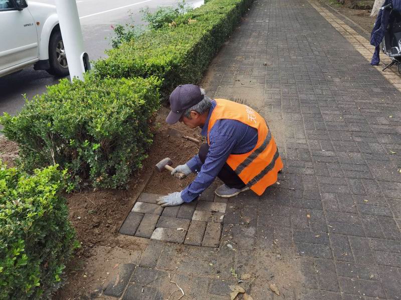 �ڲ��������רҵЧ��,����Ϊ��