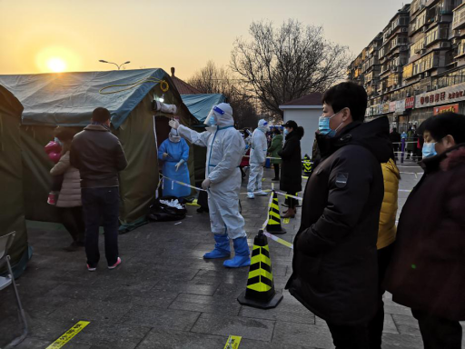 �ڲ��������רҵЧ��,����Ϊ��