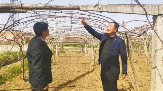 �ڲ��������רҵЧ��,����Ϊ��