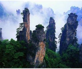 �ڲ��������רҵЧ��,����Ϊ��