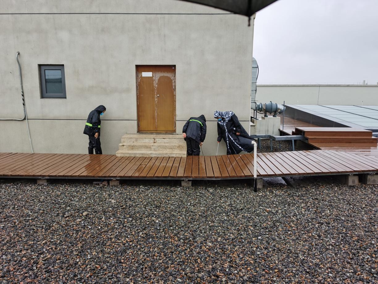 �ڲ��������רҵЧ��,����Ϊ��