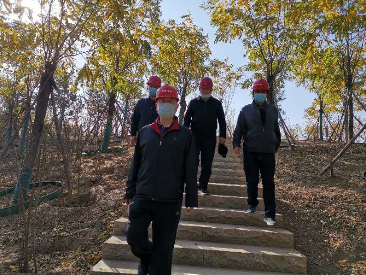 �ڲ��������רҵЧ��,����Ϊ��