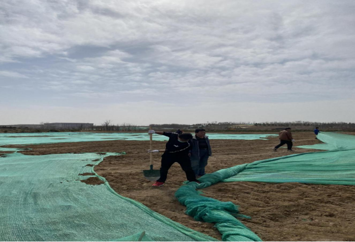 �ڲ��������רҵЧ��,����Ϊ��