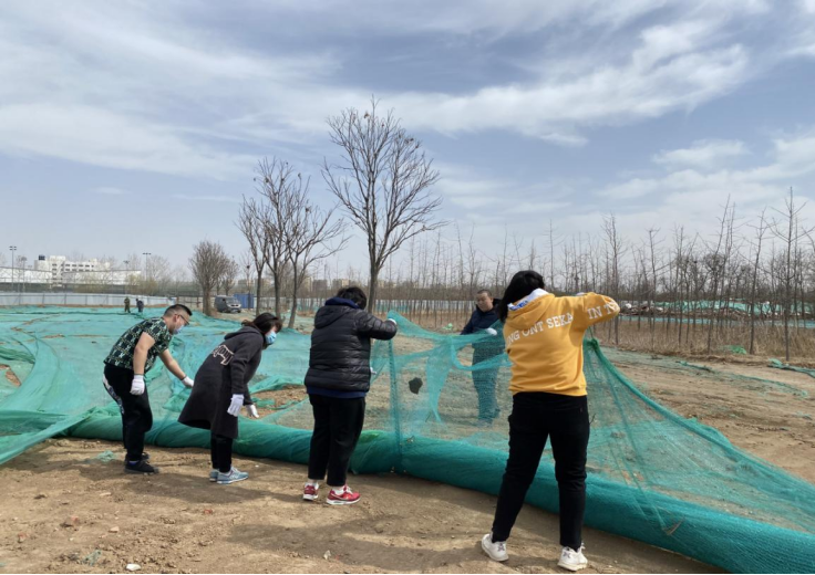 �ڲ��������רҵЧ��,����Ϊ��