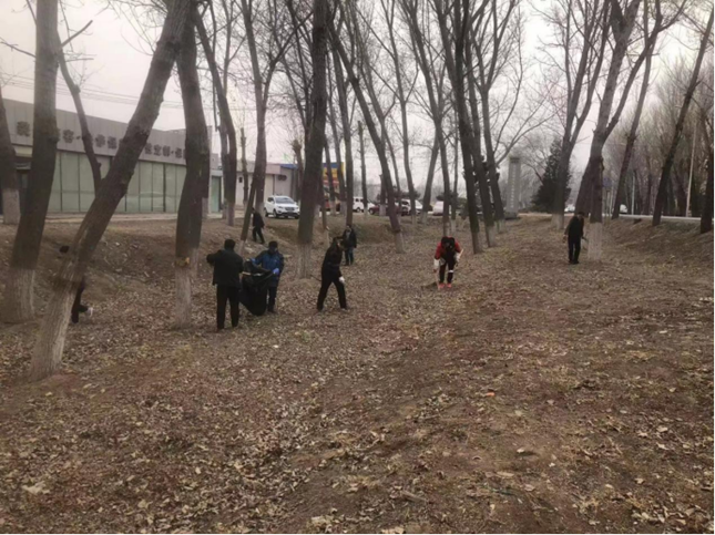 �ڲ��������רҵЧ��,����Ϊ��