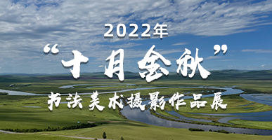 �ڲ��������רҵЧ��,����Ϊ��