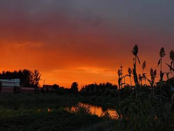 腾博会官网·专业效劳,诚信为本