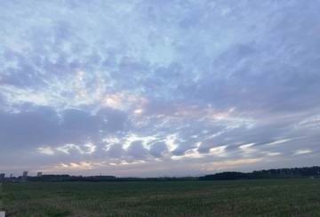 腾博会官网·专业效劳,诚信为本