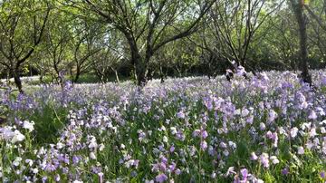 腾博会官网·专业效劳,诚信为本