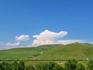 腾博会官网·专业效劳,诚信为本