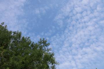 腾博会官网·专业效劳,诚信为本