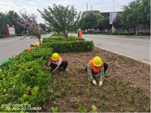 �ڲ��������רҵЧ��,����Ϊ��