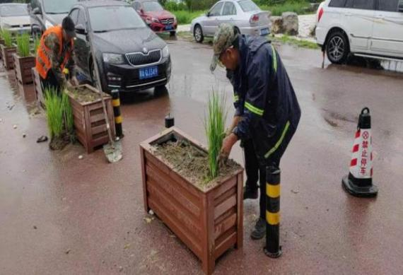 �ڲ��������רҵЧ��,����Ϊ��