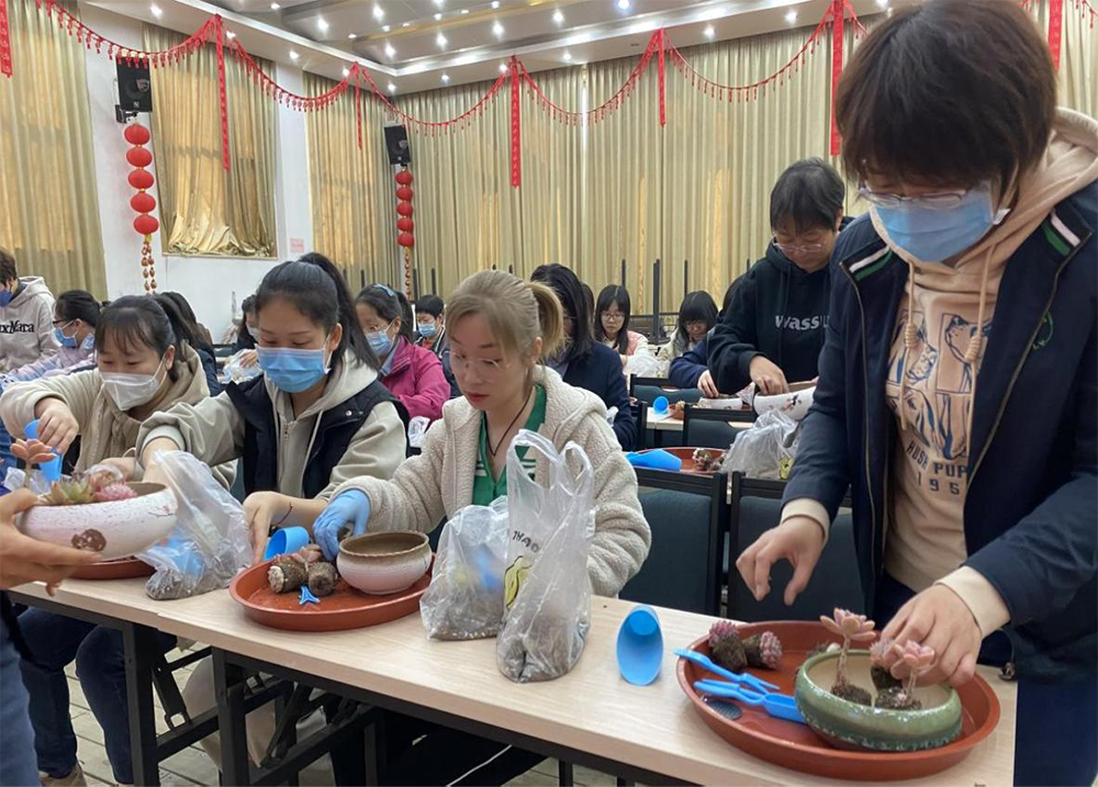 �ڲ��������רҵЧ��,����Ϊ��