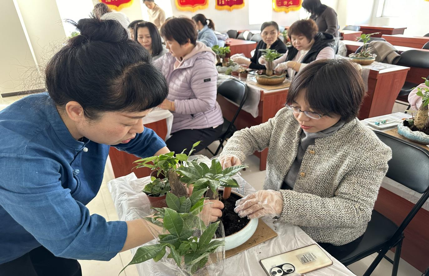 �ڲ��������רҵЧ��,����Ϊ��