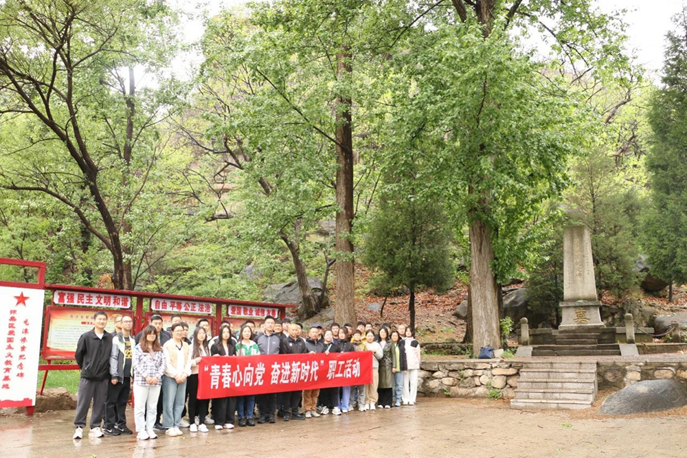 �ڲ��������רҵЧ��,����Ϊ��