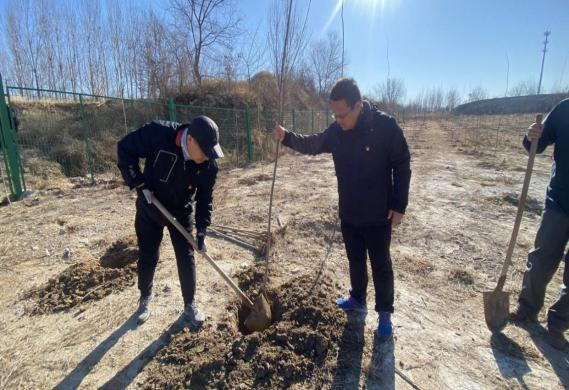 �ڲ��������רҵЧ��,����Ϊ��