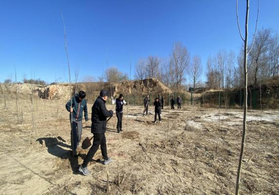 �ڲ��������רҵЧ��,����Ϊ��