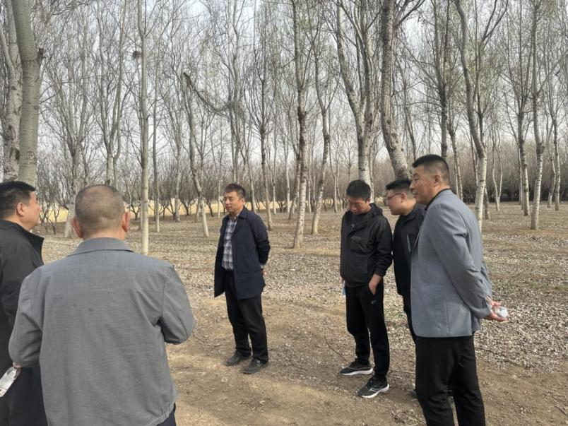 �ڲ��������רҵЧ��,����Ϊ��