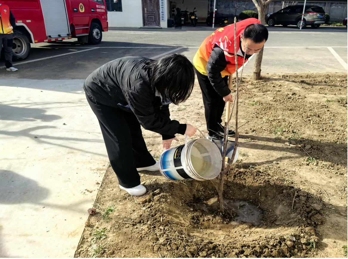 �ڲ��������רҵЧ��,����Ϊ��