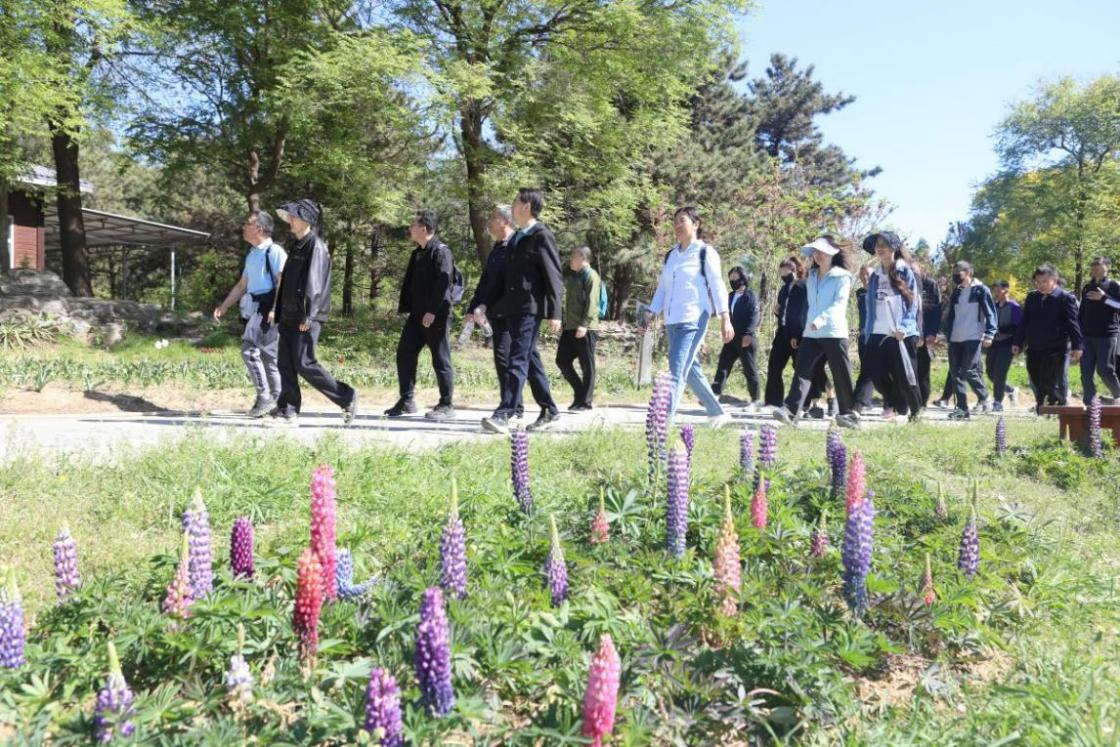 �ڲ��������רҵЧ��,����Ϊ��