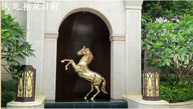 ����С����Ƶ